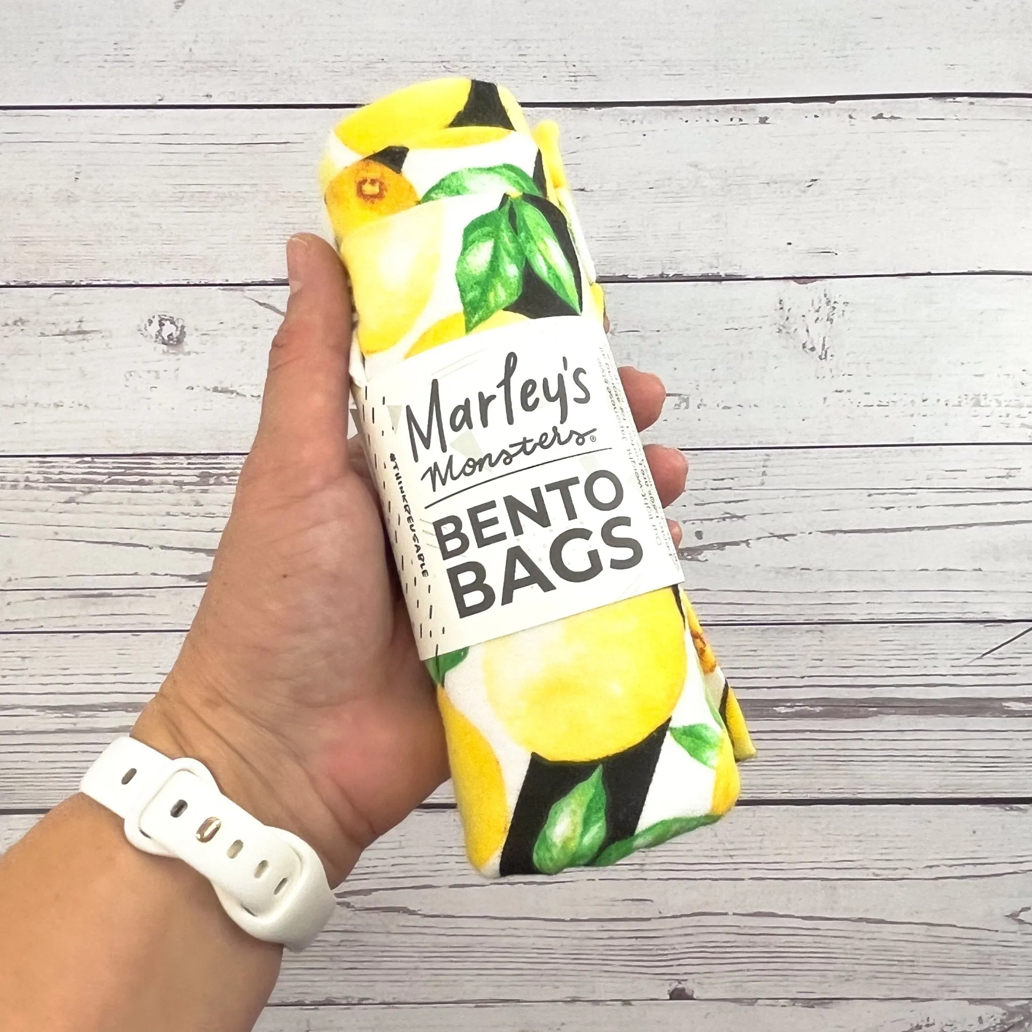 Bento Bags