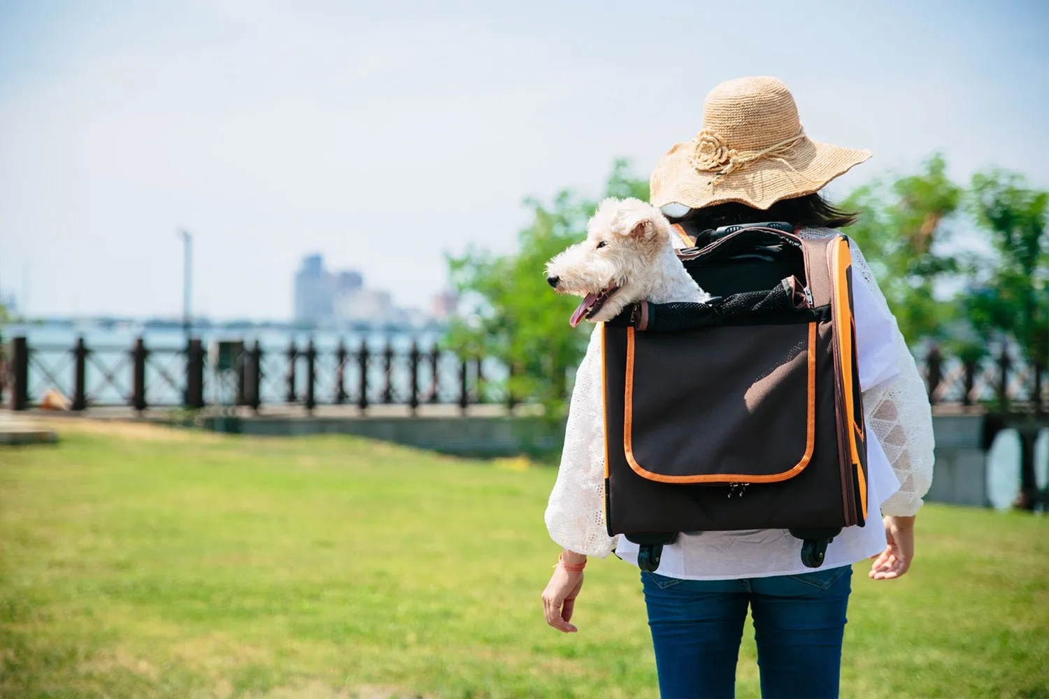 Liso Backpack Parallel Transport Pet Trolley – Orange/Brown